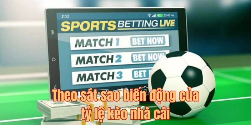 Căn cứ vào biến động tỷ lệ để đầu tư hợp lý