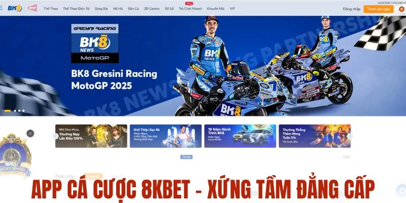 App cá cược BK8 - Đẳng cấp quốc tế