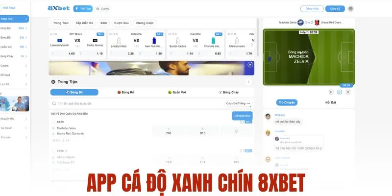App cá độ bóng Hi88 - Cá độ xanh chín