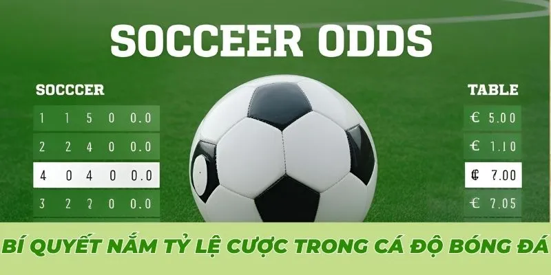 Bí quyết nắm vững tỷ lệ cược trong cá độ bóng đá