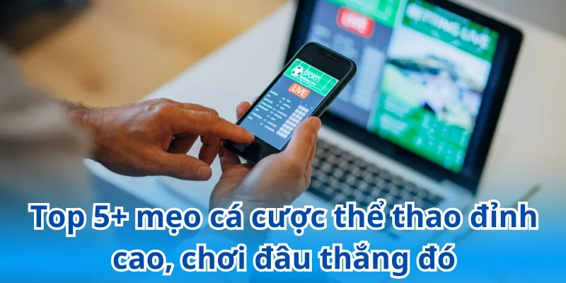 Bỏ túi các mẹo cá cược thể thao bất bại từ chuyên gia