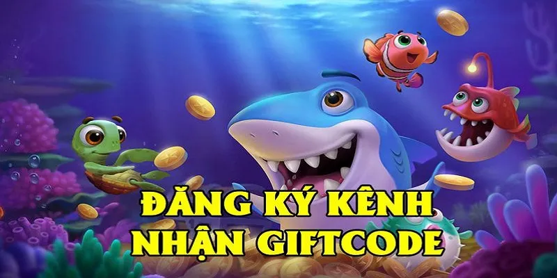 Cập nhật những ưu đãi tặng code mới nhất