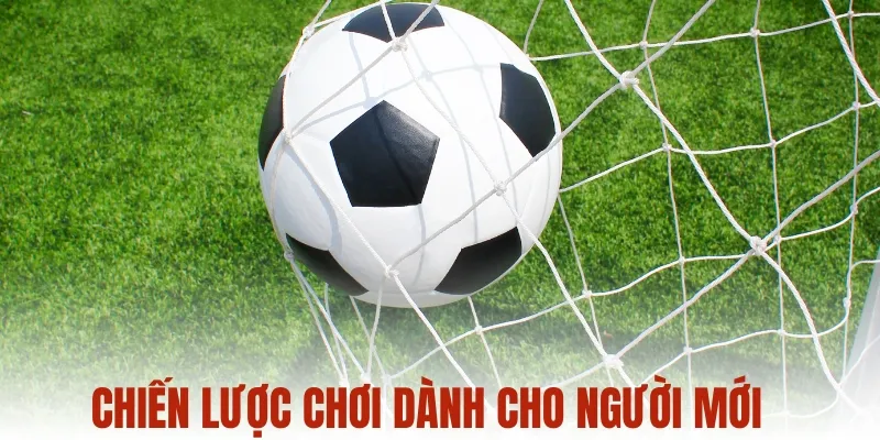 Chiến lược chơi dành cho người mới