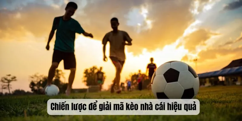 Chiến lược để thành viên giải mã kèo nhà cái hiệu quả