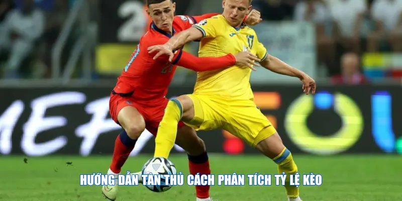 Hướng dẫn tân thủ cách phân tích tỷ lệ kèo