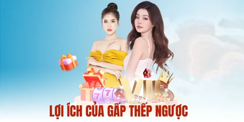 Lợi ích của gấp thếp ngược