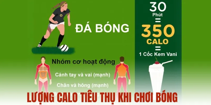 Lượng calo tiêu thụ trung bình