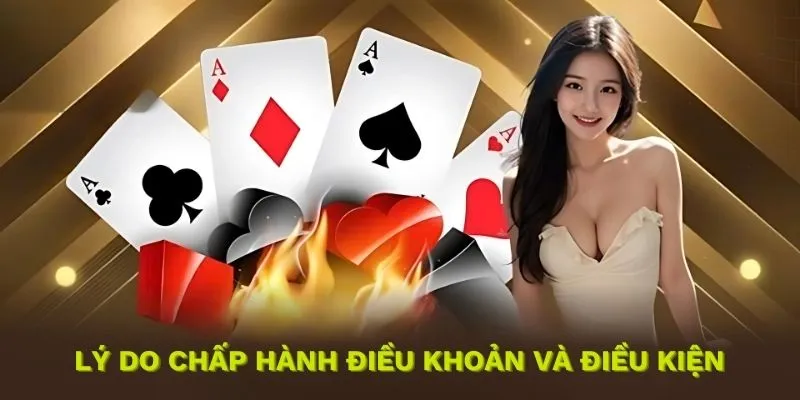 Những lý do quan trọng buộc bạn phải chấp hành điều khoản và điều kiện