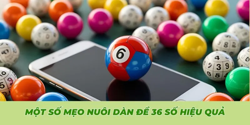 Một số mẹo nuôi dàn đề 36 số hiệu quả