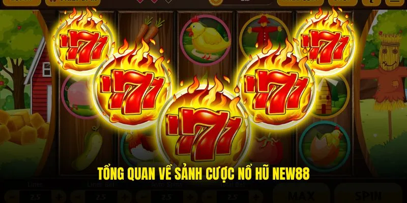 Tổng quan về sảnh cược nổ hũ NEW88