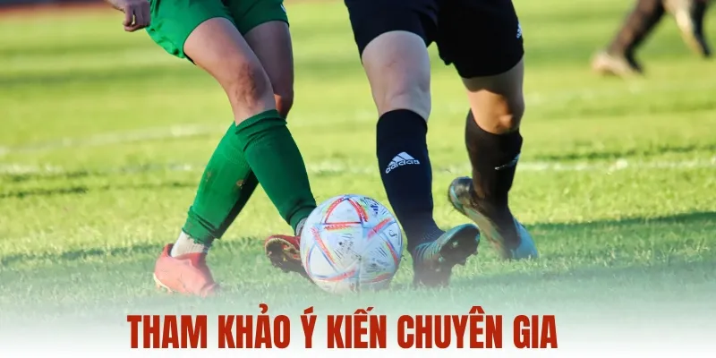 Tham khảo ý kiến từ các chuyên gia