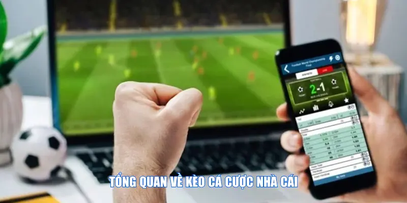 Tổng quan về kèo cá cược nhà cái