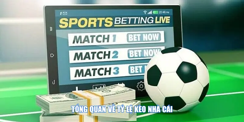 Tổng quan về tỷ lệ kèo nhà cái