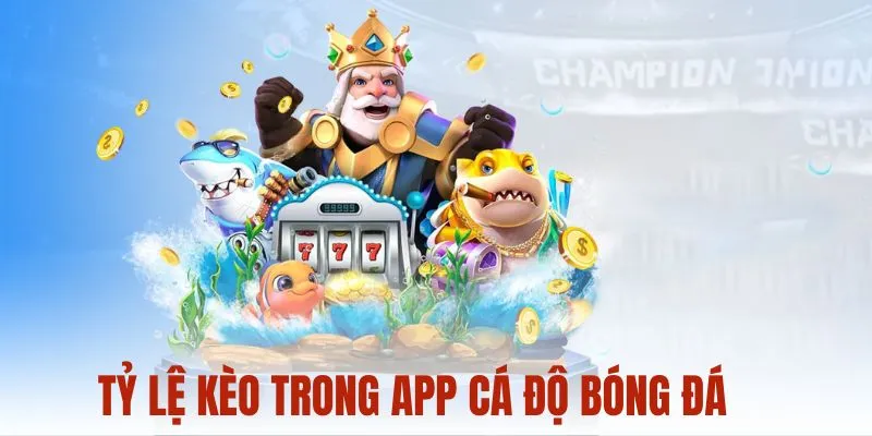 Tỷ lệ kèo trong app cá độ bóng đá